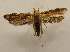  ( - 18-SRNP-35883)  @11 [ ] CreativeCommons  Attribution Non-Commercial Share-Alike (2023) Daniel H. Janzen Guanacaste Dry Forest Conservation Fund