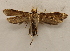  ( - 18-SRNP-35883)  @11 [ ] CreativeCommons  Attribution Non-Commercial Share-Alike (2023) Daniel H. Janzen Guanacaste Dry Forest Conservation Fund