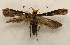  ( - 18-SRNP-36319)  @11 [ ] CreativeCommons  Attribution Non-Commercial Share-Alike (2023) Daniel H. Janzen Guanacaste Dry Forest Conservation Fund