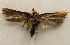  ( - 18-SRNP-36330)  @11 [ ] CreativeCommons  Attribution Non-Commercial Share-Alike (2023) Daniel H. Janzen Guanacaste Dry Forest Conservation Fund