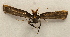  ( - 18-SRNP-36331)  @11 [ ] CreativeCommons  Attribution Non-Commercial Share-Alike (2023) Daniel H. Janzen Guanacaste Dry Forest Conservation Fund