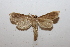  ( - 18-SRNP-46017)  @11 [ ] CreativeCommons  Attribution Non-Commercial Share-Alike (2023) Daniel H. Janzen Guanacaste Dry Forest Conservation Fund
