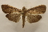  ( - 18-SRNP-56864)  @11 [ ] CreativeCommons  Attribution Non-Commercial Share-Alike (2023) Daniel H. Janzen Guanacaste Dry Forest Conservation Fund