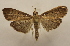 ( - 18-SRNP-56867)  @11 [ ] CreativeCommons  Attribution Non-Commercial Share-Alike (2023) Daniel H. Janzen Guanacaste Dry Forest Conservation Fund
