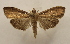  ( - 18-SRNP-56940)  @11 [ ] CreativeCommons  Attribution Non-Commercial Share-Alike (2023) Daniel H. Janzen Guanacaste Dry Forest Conservation Fund