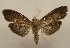  ( - 18-SRNP-57005)  @11 [ ] CreativeCommons  Attribution Non-Commercial Share-Alike (2023) Daniel H. Janzen Guanacaste Dry Forest Conservation Fund