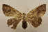  ( - 19-SRNP-1024)  @11 [ ] CreativeCommons  Attribution Non-Commercial Share-Alike (2023) Daniel H. Janzen Guanacaste Dry Forest Conservation Fund