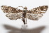  ( - 19-SRNP-104452)  @11 [ ] CreativeCommons  Attribution Non-Commercial Share-Alike (2023) Daniel H. Janzen Guanacaste Dry Forest Conservation Fund