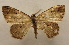  ( - 19-SRNP-1189)  @11 [ ] CreativeCommons  Attribution Non-Commercial Share-Alike (2023) Daniel H. Janzen Guanacaste Dry Forest Conservation Fund