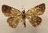 ( - 19-SRNP-1301)  @11 [ ] CreativeCommons  Attribution Non-Commercial Share-Alike (2023) Daniel H. Janzen Guanacaste Dry Forest Conservation Fund