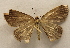  ( - 19-SRNP-1303)  @11 [ ] CreativeCommons  Attribution Non-Commercial Share-Alike (2023) Daniel H. Janzen Guanacaste Dry Forest Conservation Fund
