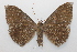  ( - 19-SRNP-20585)  @11 [ ] CreativeCommons  Attribution Non-Commercial Share-Alike (2023) Daniel H. Janzen Guanacaste Dry Forest Conservation Fund