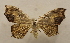  ( - 19-SRNP-20598)  @11 [ ] CreativeCommons  Attribution Non-Commercial Share-Alike (2023) Daniel H. Janzen Guanacaste Dry Forest Conservation Fund
