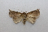  ( - 19-SRNP-20745)  @11 [ ] CreativeCommons  Attribution Non-Commercial Share-Alike (2023) Daniel H. Janzen Guanacaste Dry Forest Conservation Fund