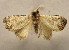  ( - 19-SRNP-30423)  @11 [ ] CreativeCommons  Attribution Non-Commercial Share-Alike (2023) Daniel H. Janzen Guanacaste Dry Forest Conservation Fund