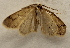  ( - 19-SRNP-30600)  @11 [ ] CreativeCommons  Attribution Non-Commercial Share-Alike (2023) Daniel H. Janzen Guanacaste Dry Forest Conservation Fund