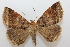  ( - 19-SRNP-31049)  @11 [ ] CreativeCommons  Attribution Non-Commercial Share-Alike (2023) Daniel H. Janzen Guanacaste Dry Forest Conservation Fund