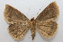  ( - 19-SRNP-31049)  @11 [ ] CreativeCommons  Attribution Non-Commercial Share-Alike (2023) Daniel H. Janzen Guanacaste Dry Forest Conservation Fund