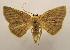  ( - 19-SRNP-35026)  @11 [ ] CreativeCommons  Attribution Non-Commercial Share-Alike (2023) Daniel H. Janzen Guanacaste Dry Forest Conservation Fund