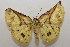  ( - 19-SRNP-35638)  @11 [ ] CreativeCommons  Attribution Non-Commercial Share-Alike (2023) Daniel H. Janzen Guanacaste Dry Forest Conservation Fund