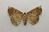  ( - 19-SRNP-35758)  @11 [ ] CreativeCommons  Attribution Non-Commercial Share-Alike (2023) Daniel H. Janzen Guanacaste Dry Forest Conservation Fund