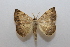  ( - 19-SRNP-35759)  @11 [ ] CreativeCommons  Attribution Non-Commercial Share-Alike (2023) Daniel H. Janzen Guanacaste Dry Forest Conservation Fund
