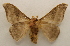  ( - 19-SRNP-413)  @11 [ ] CreativeCommons  Attribution Non-Commercial Share-Alike (2023) Daniel H. Janzen Guanacaste Dry Forest Conservation Fund
