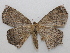  ( - 19-SRNP-42329)  @11 [ ] CreativeCommons  Attribution Non-Commercial Share-Alike (2023) Daniel H. Janzen Guanacaste Dry Forest Conservation Fund