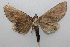  ( - 19-SRNP-45955)  @11 [ ] CreativeCommons  Attribution Non-Commercial Share-Alike (2023) Daniel H. Janzen Guanacaste Dry Forest Conservation Fund