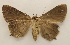  ( - 19-SRNP-55513)  @11 [ ] CreativeCommons  Attribution Non-Commercial Share-Alike (2023) Daniel H. Janzen Guanacaste Dry Forest Conservation Fund
