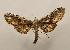  ( - 19-SRNP-70121)  @11 [ ] CreativeCommons  Attribution Non-Commercial Share-Alike (2023) Daniel H. Janzen Guanacaste Dry Forest Conservation Fund