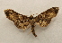  ( - 19-SRNP-70121)  @11 [ ] CreativeCommons  Attribution Non-Commercial Share-Alike (2023) Daniel H. Janzen Guanacaste Dry Forest Conservation Fund