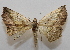  ( - 19-SRNP-76089)  @11 [ ] CreativeCommons  Attribution Non-Commercial Share-Alike (2023) Daniel H. Janzen Guanacaste Dry Forest Conservation Fund