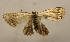  ( - 19-SRNP-80719)  @11 [ ] CreativeCommons  Attribution Non-Commercial Share-Alike (2023) Daniel H. Janzen Guanacaste Dry Forest Conservation Fund
