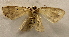  ( - 19-SRNP-80719)  @11 [ ] CreativeCommons  Attribution Non-Commercial Share-Alike (2023) Daniel H. Janzen Guanacaste Dry Forest Conservation Fund