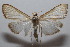  ( - 20-SRNP-101530)  @11 [ ] CreativeCommons  Attribution Non-Commercial Share-Alike (2023) Daniel H. Janzen Guanacaste Dry Forest Conservation Fund