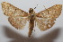  ( - 20-SRNP-101531)  @11 [ ] CreativeCommons  Attribution Non-Commercial Share-Alike (2023) Daniel H. Janzen Guanacaste Dry Forest Conservation Fund