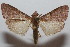  ( - 20-SRNP-101552)  @11 [ ] CreativeCommons  Attribution Non-Commercial Share-Alike (2023) Daniel H. Janzen Guanacaste Dry Forest Conservation Fund