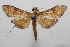  ( - 20-SRNP-101732)  @11 [ ] CreativeCommons  Attribution Non-Commercial Share-Alike (2023) Daniel H. Janzen Guanacaste Dry Forest Conservation Fund