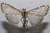  ( - 20-SRNP-101750)  @11 [ ] CreativeCommons  Attribution Non-Commercial Share-Alike (2023) Daniel H. Janzen Guanacaste Dry Forest Conservation Fund