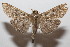  ( - 20-SRNP-101753)  @11 [ ] CreativeCommons  Attribution Non-Commercial Share-Alike (2023) Daniel H. Janzen Guanacaste Dry Forest Conservation Fund
