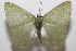  ( - 20-SRNP-102071)  @11 [ ] CreativeCommons  Attribution Non-Commercial Share-Alike (2023) Daniel H. Janzen Guanacaste Dry Forest Conservation Fund