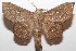  ( - 20-SRNP-102356)  @11 [ ] CreativeCommons  Attribution Non-Commercial Share-Alike (2023) Daniel H. Janzen Guanacaste Dry Forest Conservation Fund
