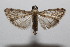  ( - 20-SRNP-102386)  @11 [ ] CreativeCommons  Attribution Non-Commercial Share-Alike (2023) Daniel H. Janzen Guanacaste Dry Forest Conservation Fund