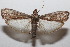  ( - 20-SRNP-102472)  @11 [ ] CreativeCommons  Attribution Non-Commercial Share-Alike (2023) Daniel H. Janzen Guanacaste Dry Forest Conservation Fund