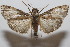 ( - 20-SRNP-102614)  @11 [ ] CreativeCommons  Attribution Non-Commercial Share-Alike (2023) Daniel H. Janzen Guanacaste Dry Forest Conservation Fund