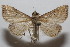  ( - 20-SRNP-102619)  @11 [ ] CreativeCommons  Attribution Non-Commercial Share-Alike (2023) Daniel H. Janzen Guanacaste Dry Forest Conservation Fund