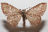  ( - 20-SRNP-102903)  @11 [ ] CreativeCommons  Attribution Non-Commercial Share-Alike (2023) Daniel H. Janzen Guanacaste Dry Forest Conservation Fund
