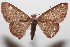  ( - 20-SRNP-102904)  @11 [ ] CreativeCommons  Attribution Non-Commercial Share-Alike (2023) Daniel H. Janzen Guanacaste Dry Forest Conservation Fund