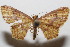  ( - 20-SRNP-103965)  @11 [ ] CreativeCommons  Attribution Non-Commercial Share-Alike (2023) Daniel H. Janzen Guanacaste Dry Forest Conservation Fund